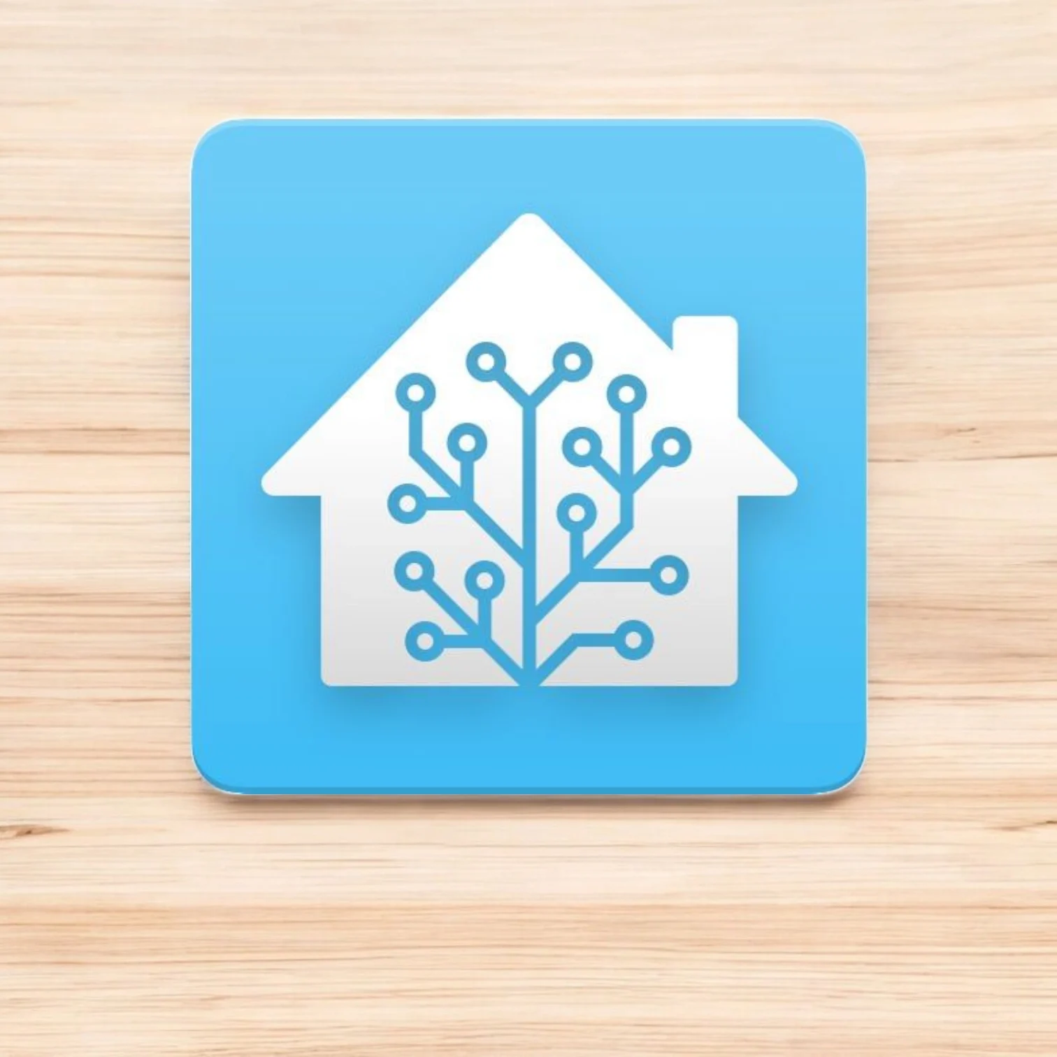 Logo_HomeAssistant